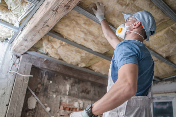 Best DIY Insulation Kits and Guidance in Weirton, WV