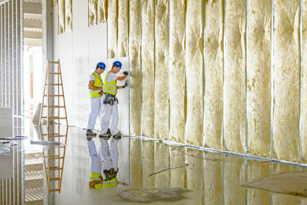 Best Eco-Friendly Insulation in Weirton, WV